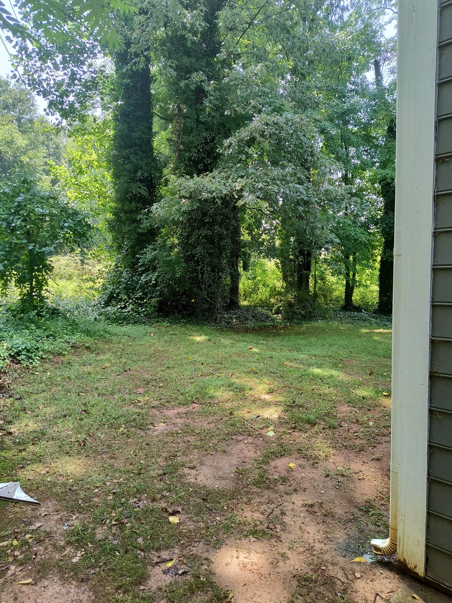 Building Photo - 245 Guinevere Ct