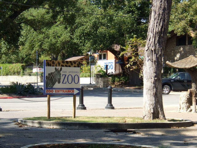 close to zoo, children parks and museums - 513 Eleanor Ave