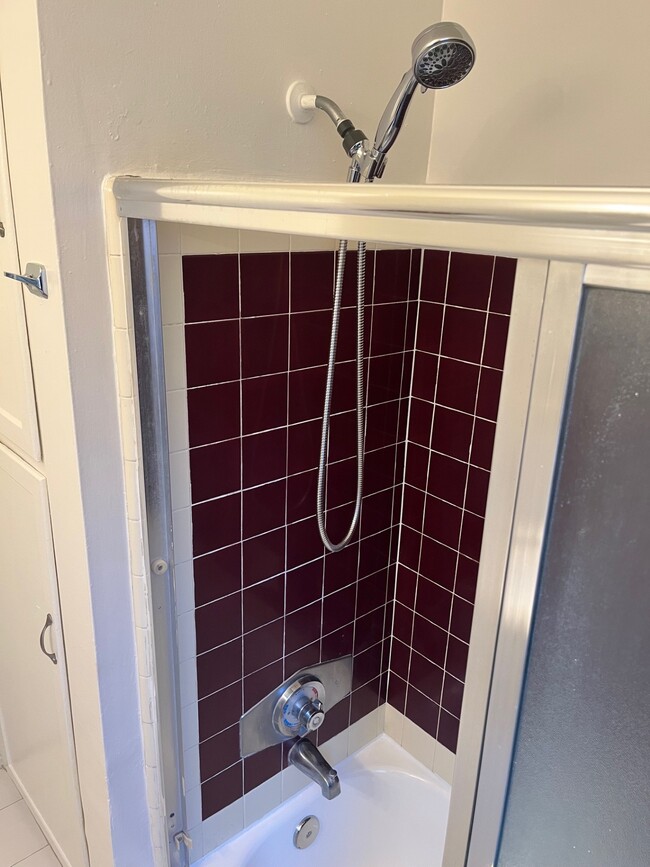 Bath Shower - 3181 S Barrington Ave