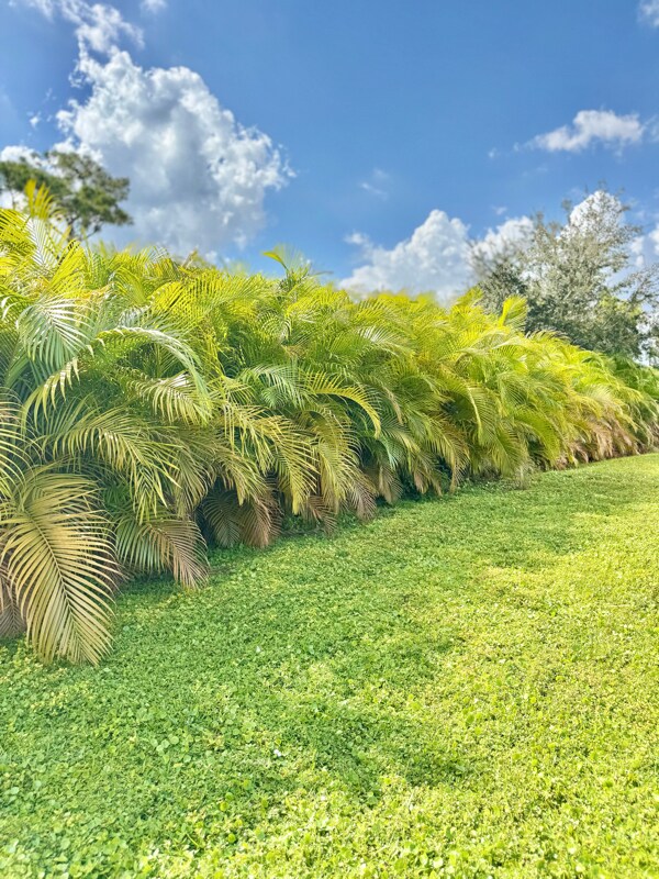 Building Photo - 2504 Leda Ave S