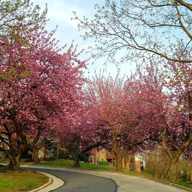 Building Photo - 280 Bridgewater Rd