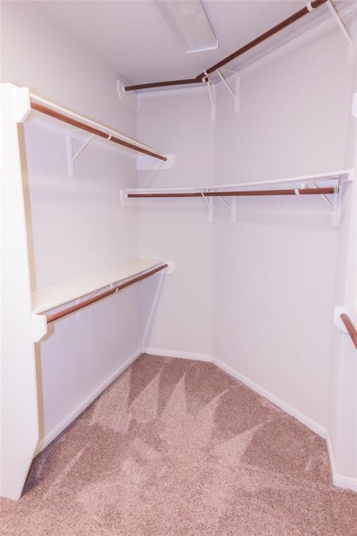 Building Photo - 918 Marigold Park Pl