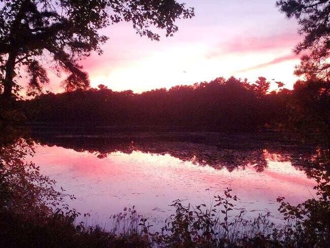 Building Photo - 18 Weaver St