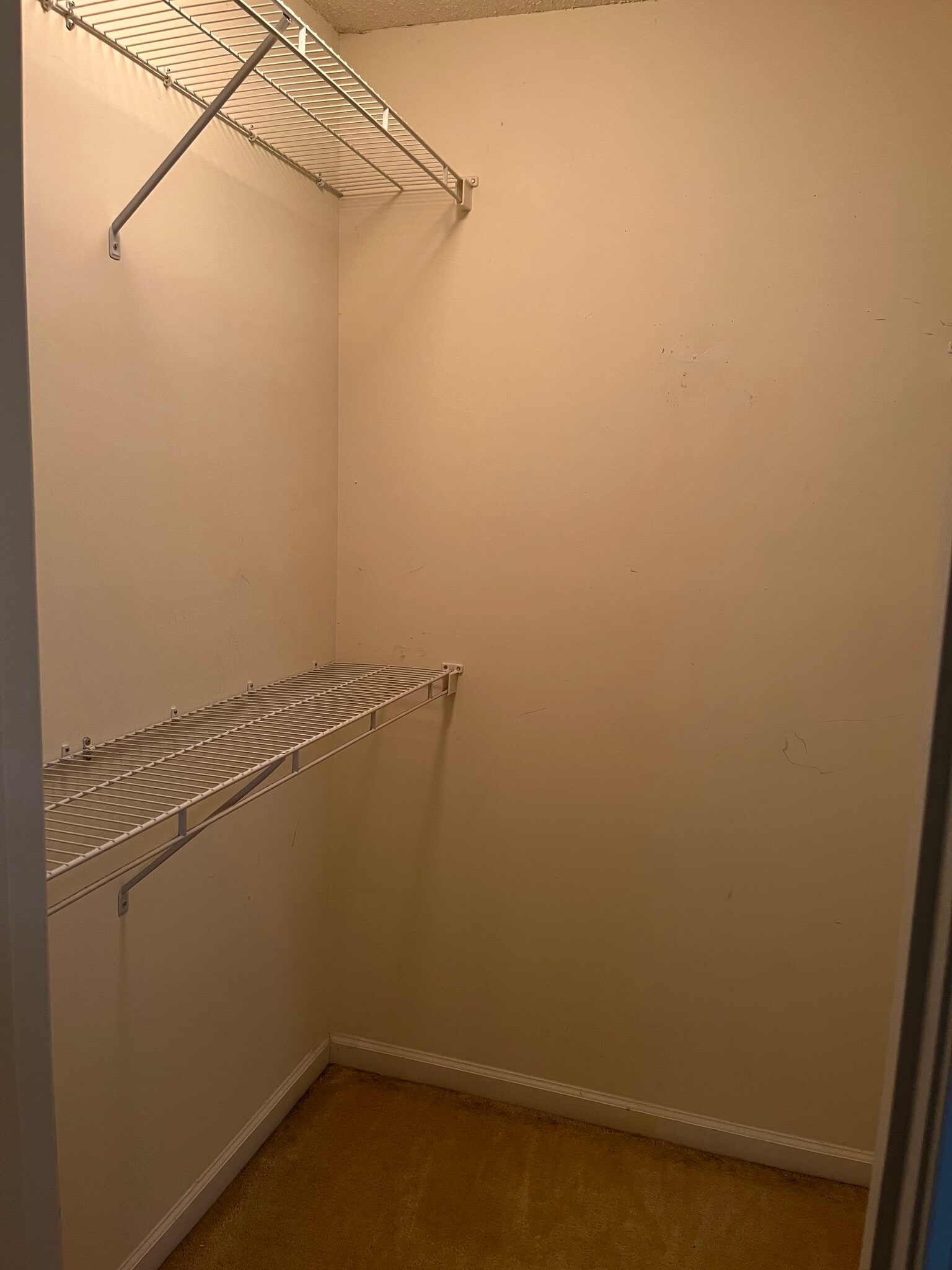 Building Photo - 1305 Cedar Shoals Dr