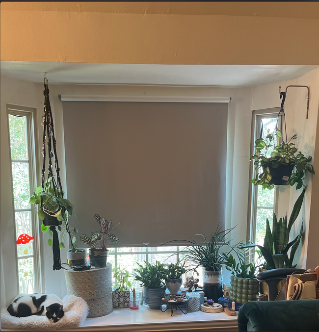 Secondary Bedroom Window over looking courtyard (Current Tenants Photo) - 5239 Arboles Dr