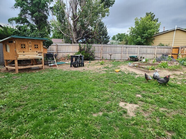 Building Photo - 10913 Forest Cir