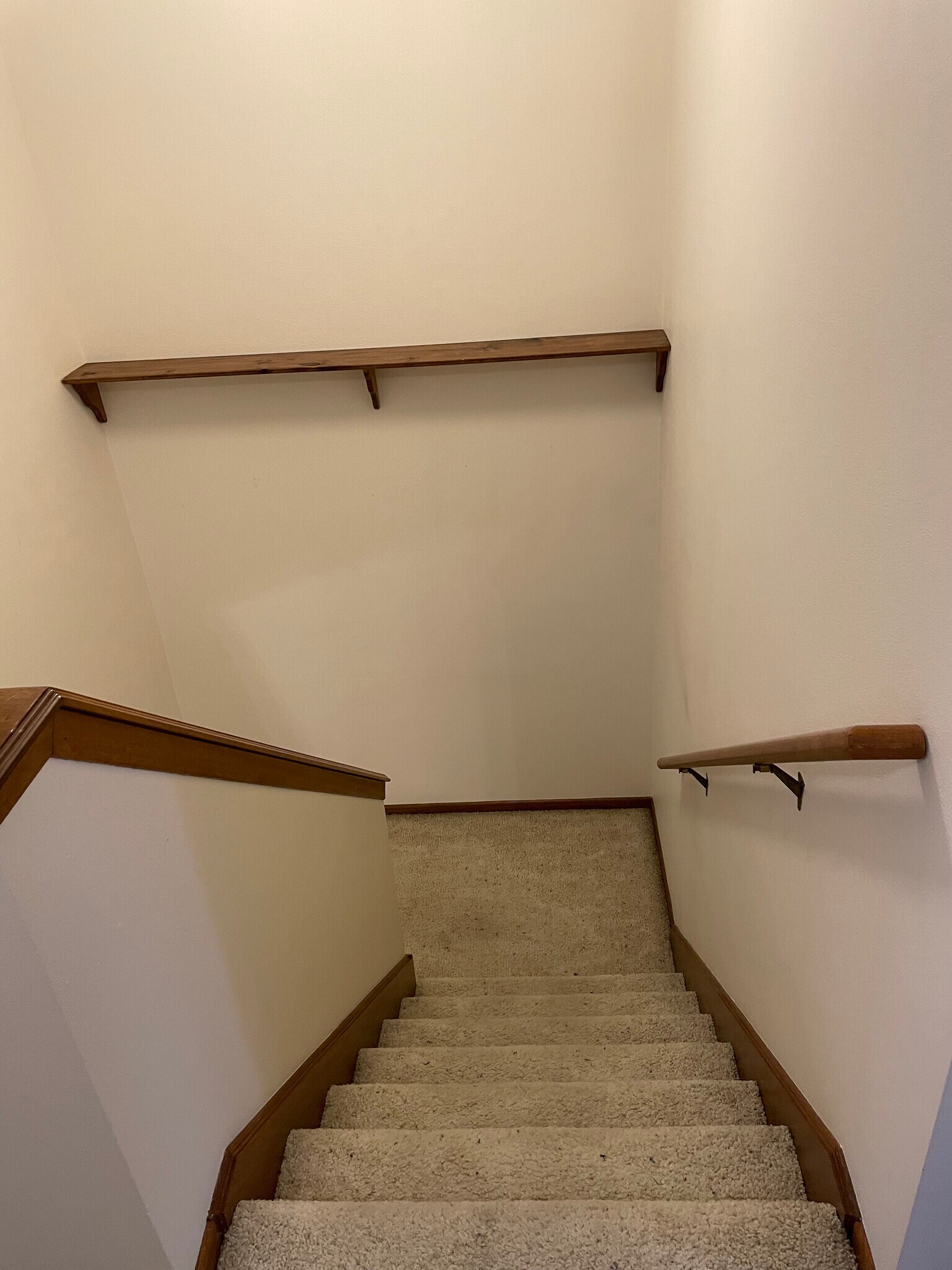 Going downstairs - 1505 Little Bluestem Ct