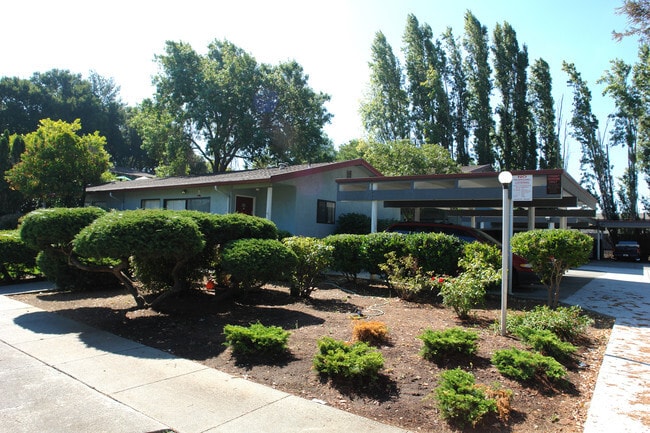 Primary Photo - Camellia apartments
