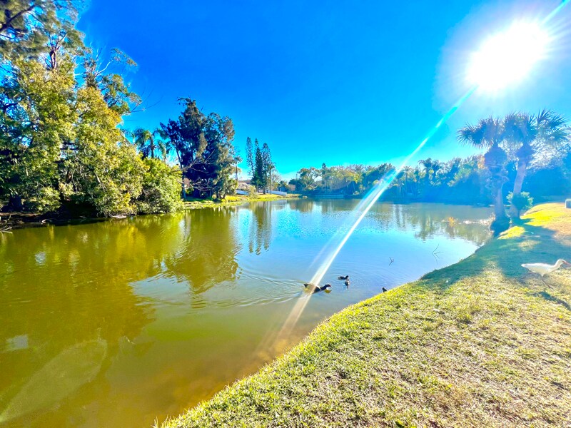 Building Photo - 4215 E Bay Dr