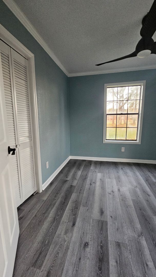 Building Photo - Beautiful 4BR 2BA home in Lakeland, GA
