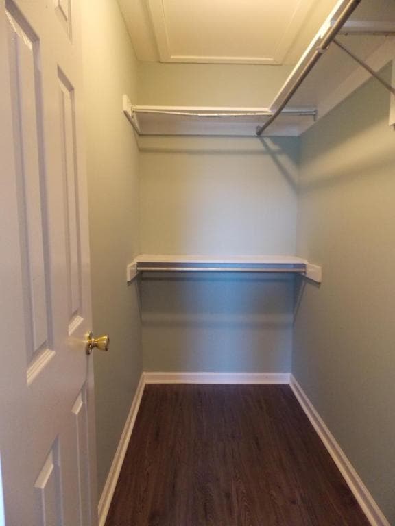 Building Photo - FALL 2026-2086 Gabbies Run