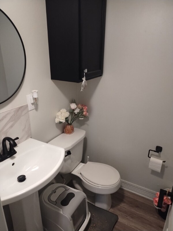 Building Photo - 8802 Ilona Ln