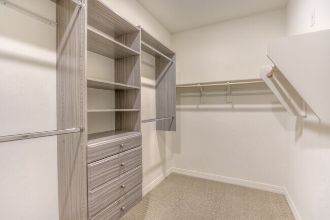 Building Photo - Very Special Oro Valley Home with Pool and Mountain Views!