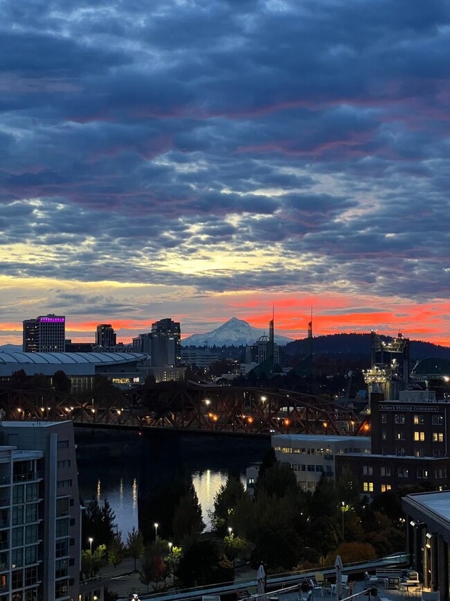 Building Photo - Incredible 1Bd/1Ba Fully Furnished Condo in the Pearl!!!! Corner Unit with Spectacular Views & Ga...