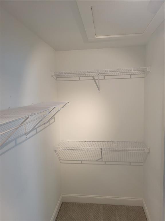 Building Photo - 1740 Madrona St NW
