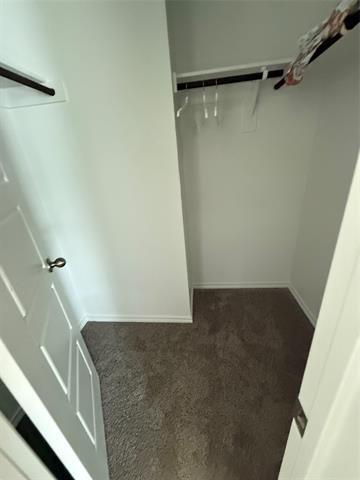 Building Photo - 1503 Usal Ct