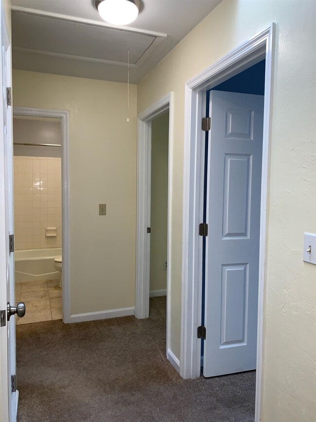 Building Photo - 552 Teal Ln