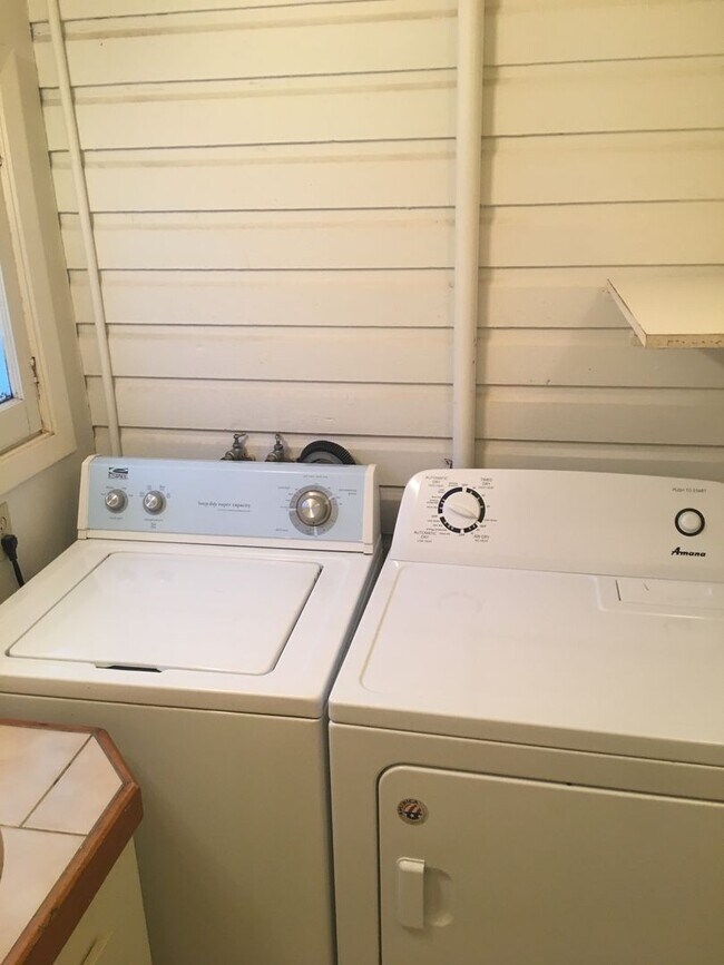 Building Photo - Campus House ~ 4 bedroom, 2 bath