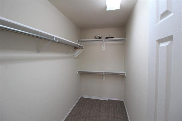 Building Photo - 3033 Stone Forest Cir