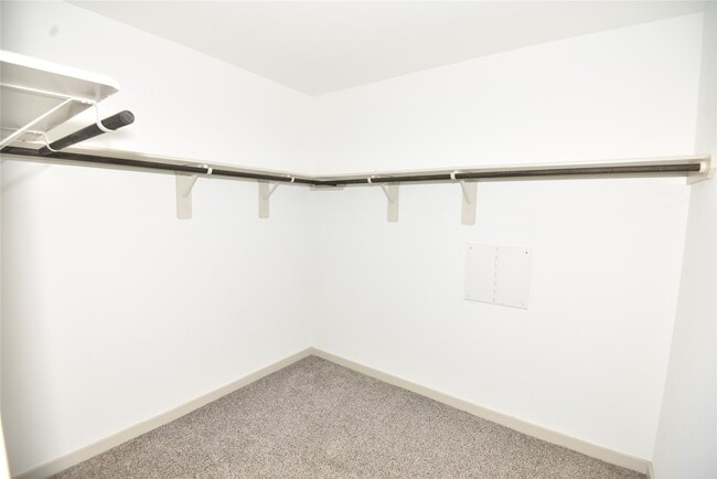 Building Photo - 1515 Cordelia Ct