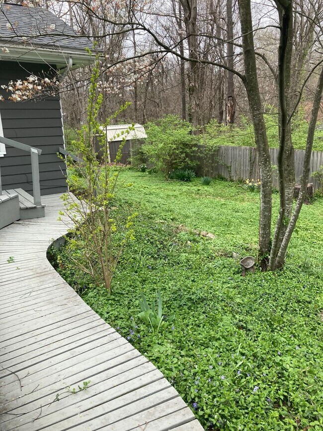 Building Photo - 3 bedroom, 1 bath House: Available August ...