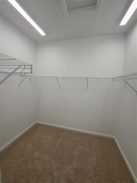 Building Photo - 4087 Longwood Lake Sq