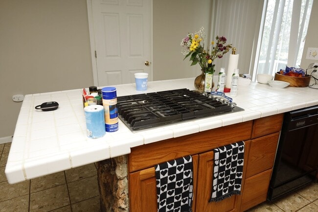 Building Photo - Great home in Chapel Hill!