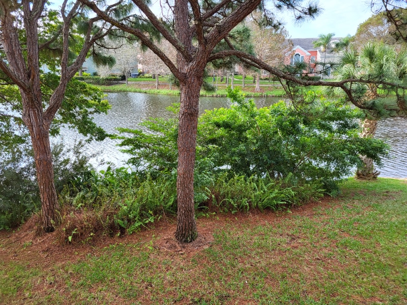 Building Photo - 2042 Alta Meadows Ln