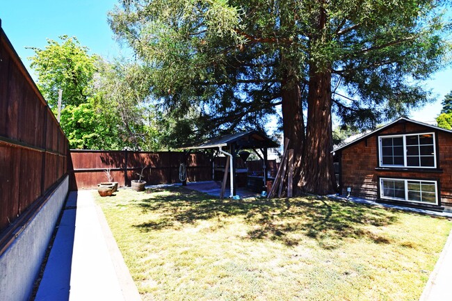 Building Photo - Charming Craftsman with a private back yar...