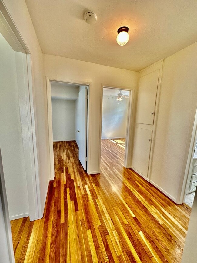 Building Photo - Beautifully Remodeled Allied Gardens Home