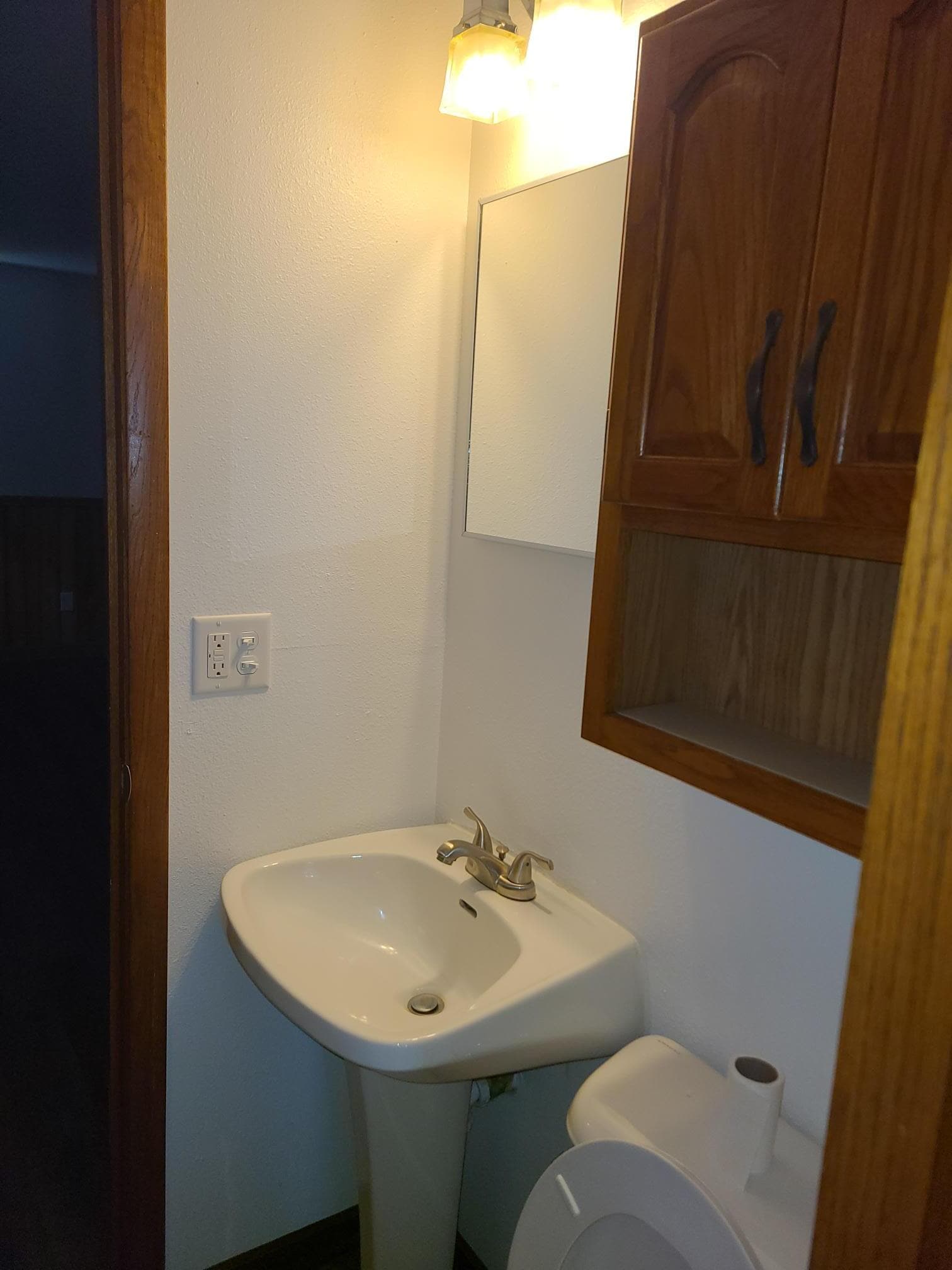Lower Level: 1/2 Bath - 217 S Water St