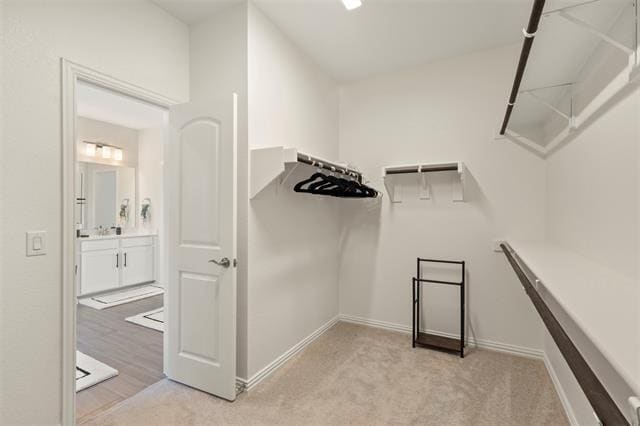 Building Photo - 8611 Craig Mews