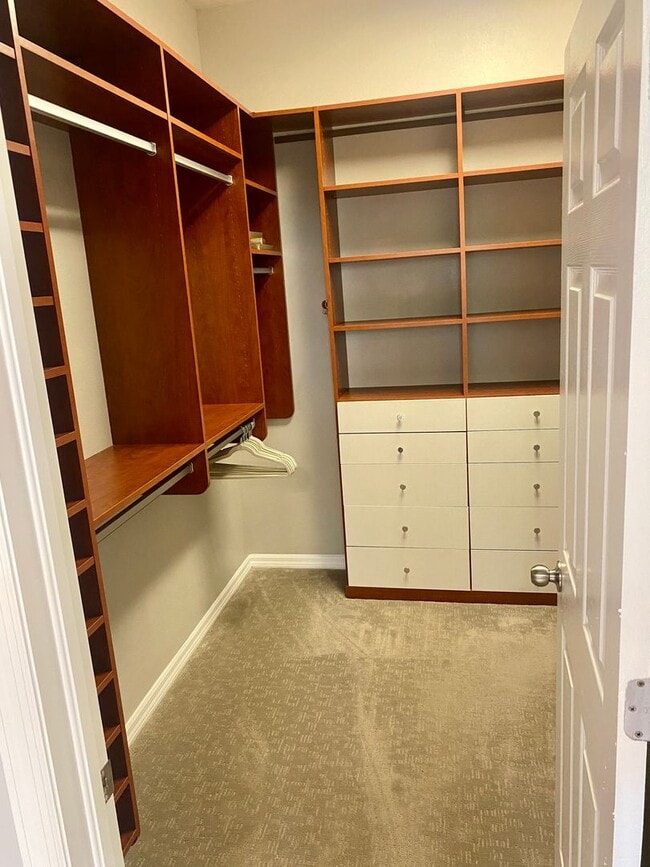 Building Photo - Citrus Park Luxury 3 Bedroom / 2.5 Bathroom Townhome Available 7/1/22