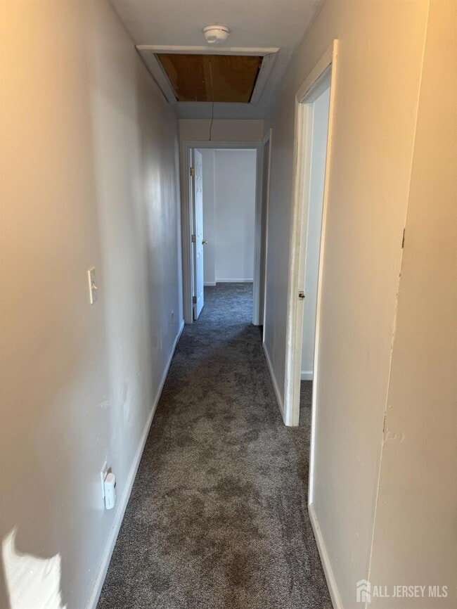 Building Photo - 317 Walnut St