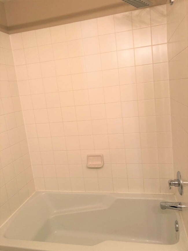 Building Photo - 1609 Fredericksburg Ln