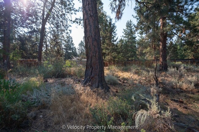 Building Photo - Beautiful home on a large half acre lot!
