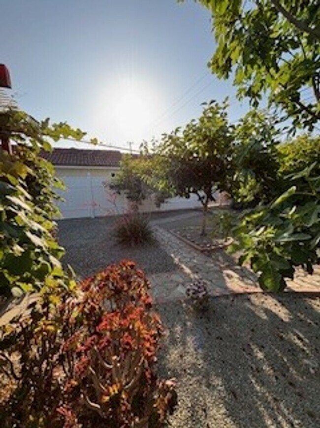Building Photo - Buena Vista - Anaheim