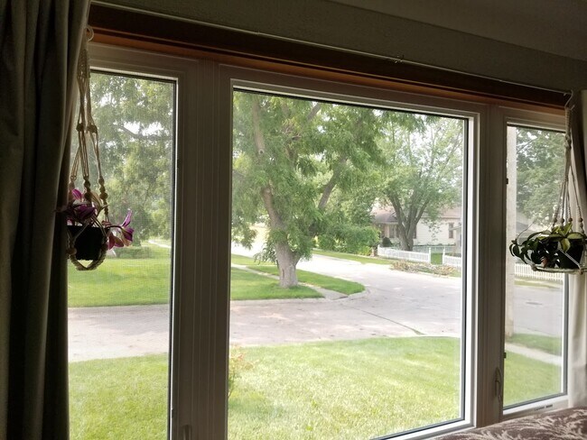 Out living room window - 1304 12th Ave