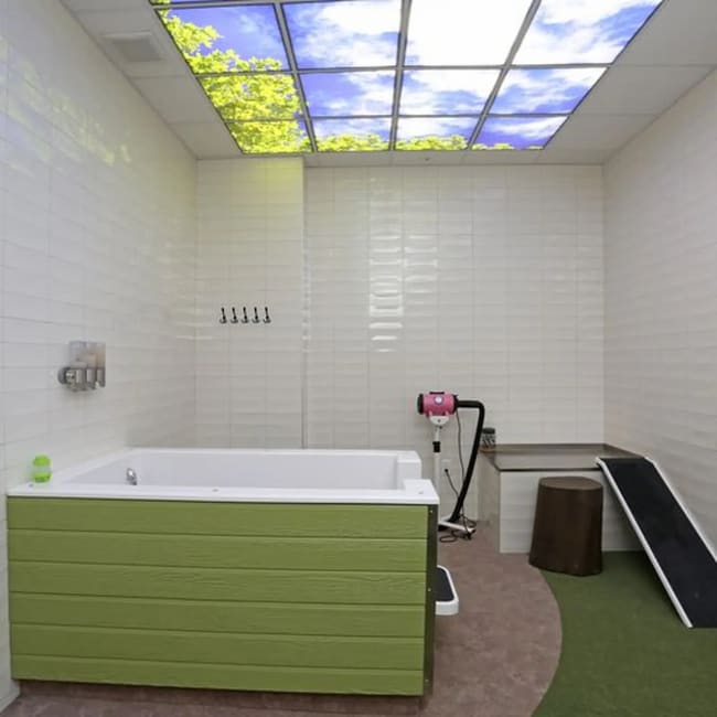 Building Photo - 11221 Synergy Dr