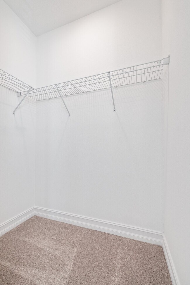 Building Photo - Charming 3 Bed, 2.5 Bath Rental Home in Wesley Chapel - Spacious and Modern!