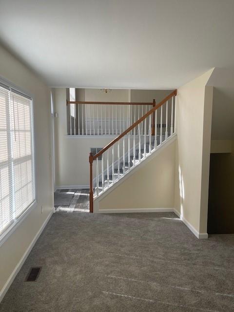 Building Photo - 4022 Canebrake Ln