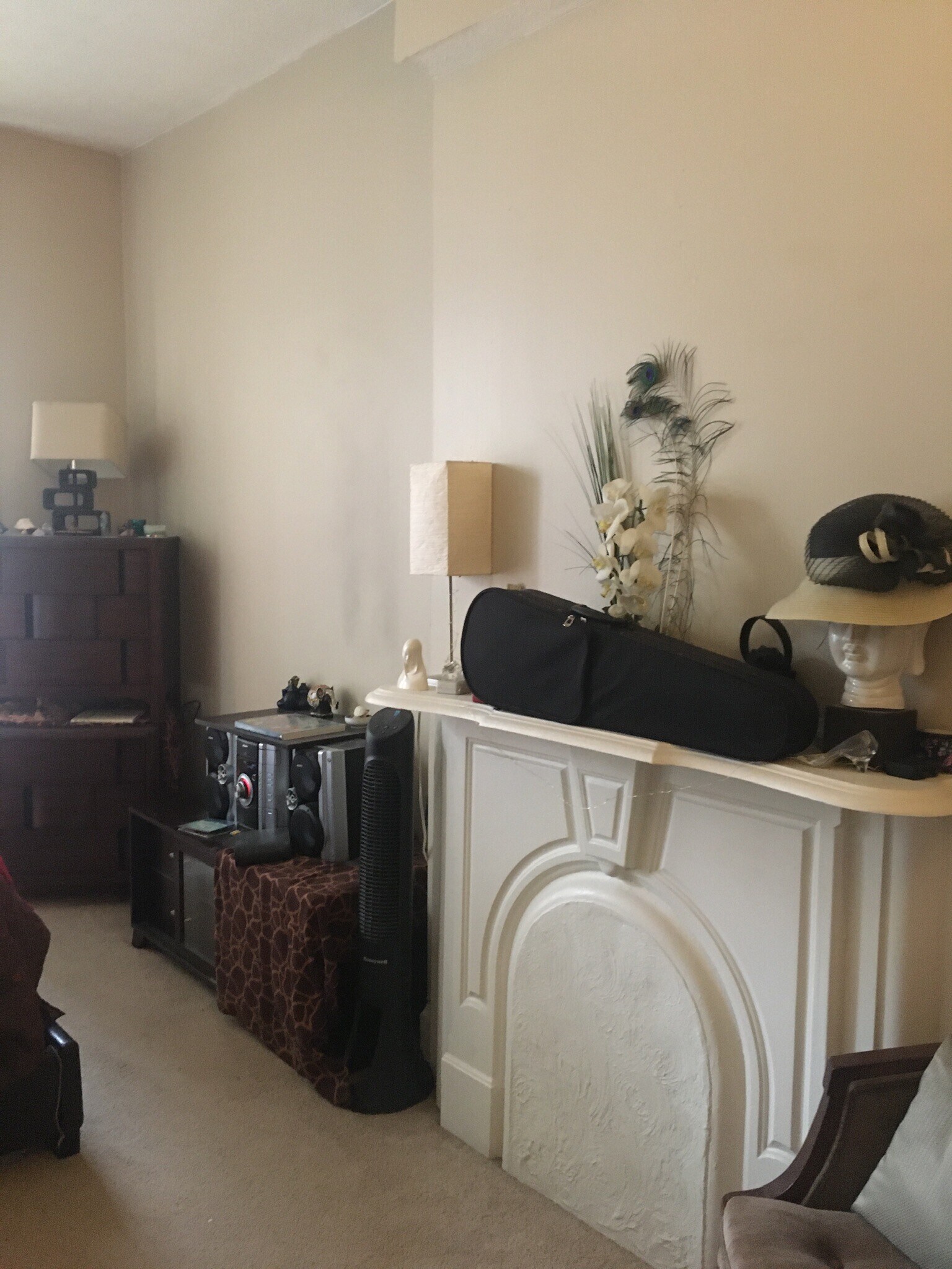 Building Photo - 423 Plum St