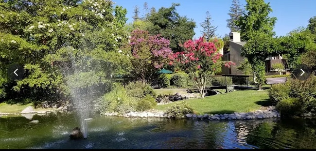 Primary Photo - Charming 1bd/1ba Condo in Woodside HOA