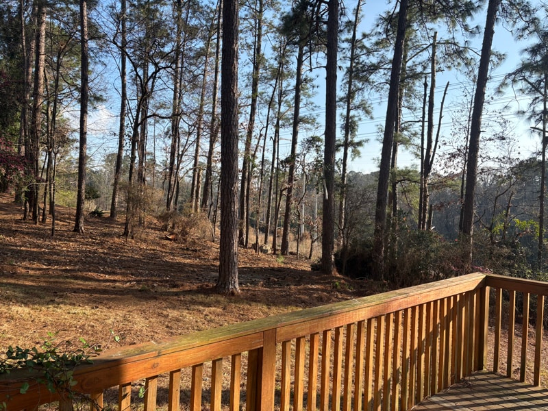 Building Photo - 404 Lake Front Dr