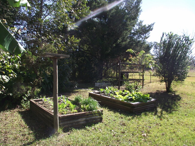 Building Photo - Gorgeous Rustic Home in Alachua!