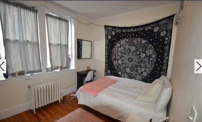 Building Photo - 62 Egmont St