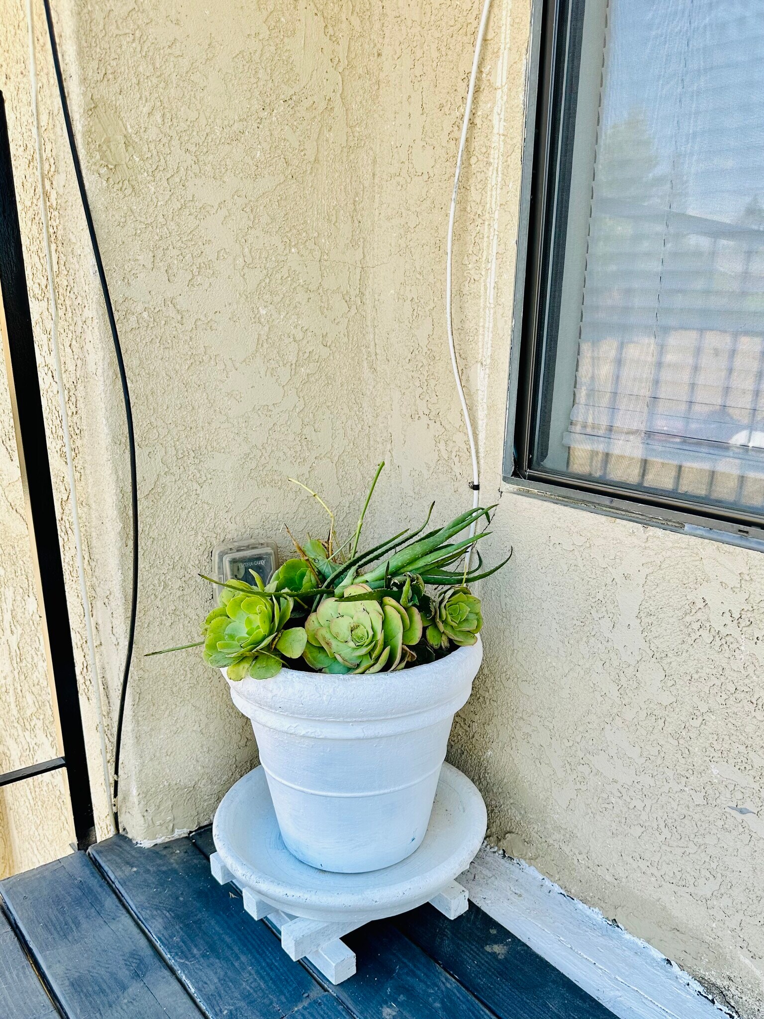 Building Photo - 6005 Hill Dale Ct