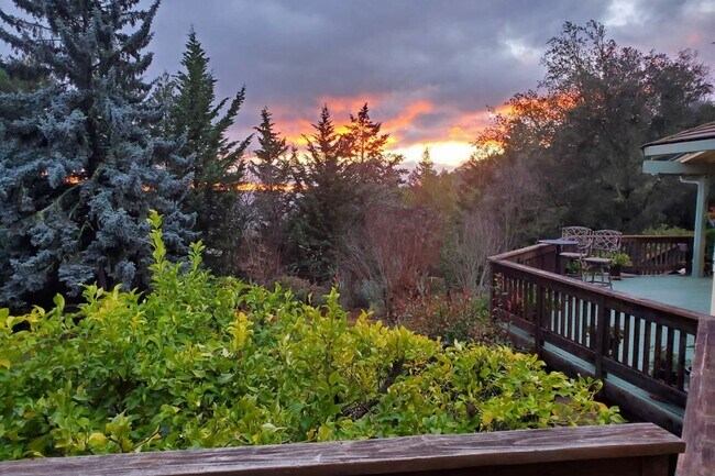 Building Photo - Los Gatos Mountain Living at its Best! Gated 1 Acre lot! Spacious 5 bedroom House! Pool!