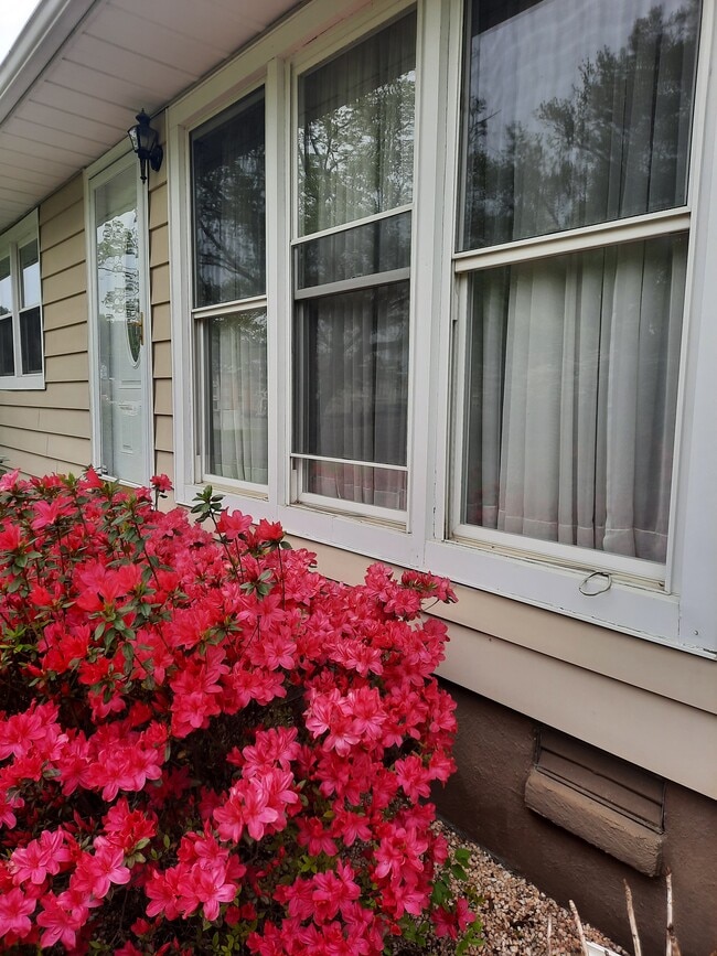 Building Photo - 5213 Evelyn Dr NW