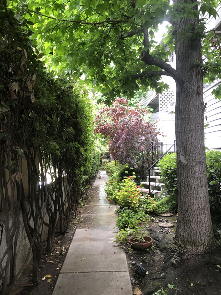 Front garden/walkway - 12458 Weddington St